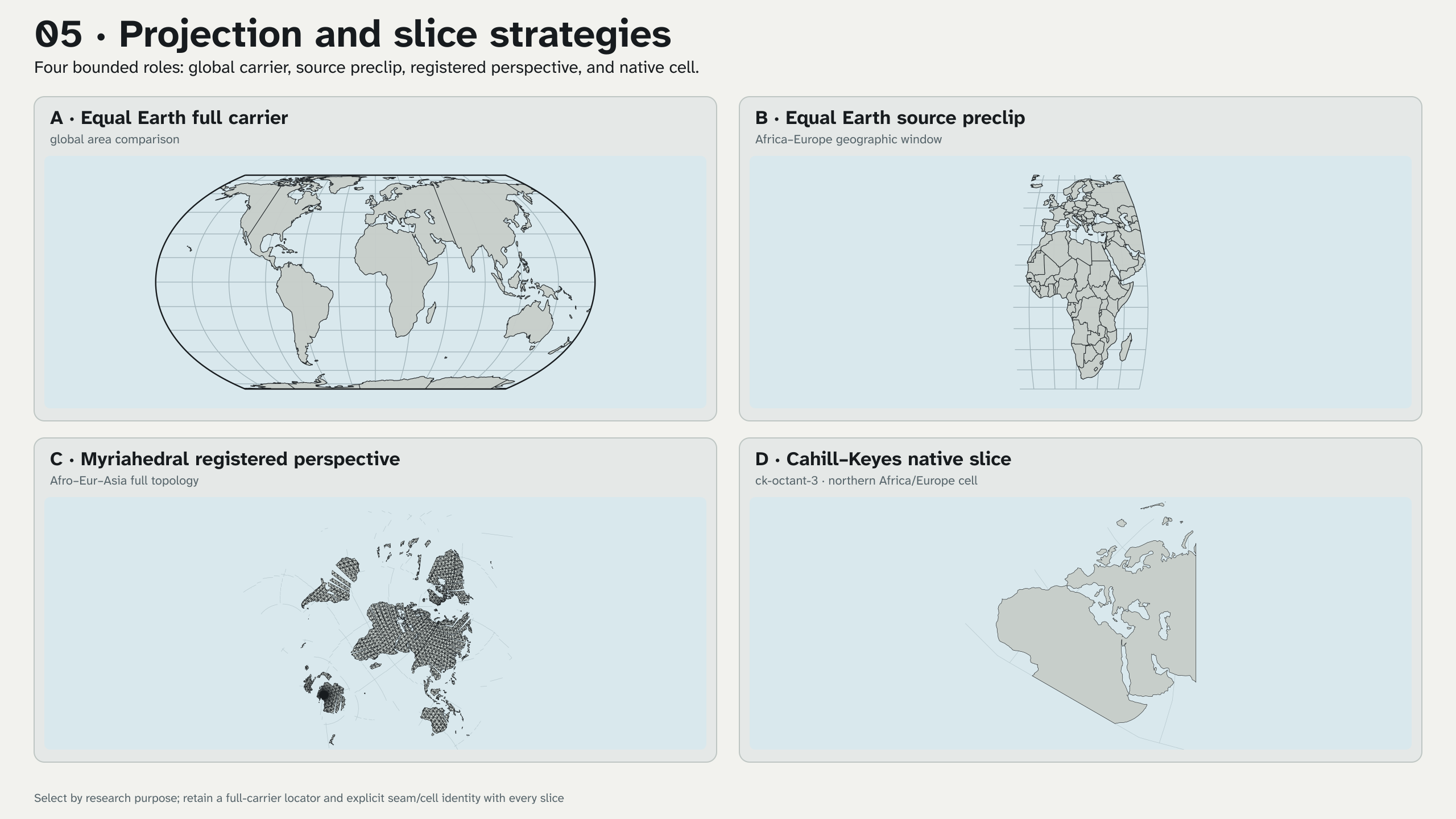 Full, geographic-preclip, registered-perspective, and native-cell slice roles